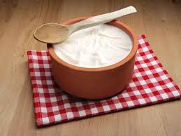 Yoğurt